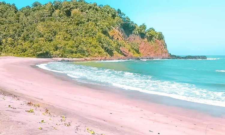 Nikmati Rasa Laut yang Menggoda di Pinggir Pantai Teluk Penyu